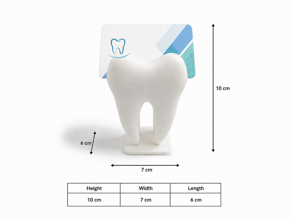 Tooth-Shaped Business Card Holder — 3D Printed Desk Organizer
