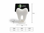 3D Printed Tooth Shape Card Holder Toy | Mini Dental Model Desk Accessory | Educational Tooth Model for Kids | Creative Visiting Card & Note Holder | Plastic Display Stand for Study Table